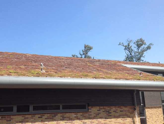 View of the eco roofing installed on the sports building at Manor Lodge School